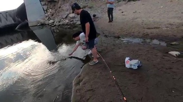 Edirne'de Dev Turna Balığı Kaçtı