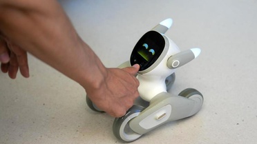 Chengdu'da Robotik Ekosistemi Gelişiyor