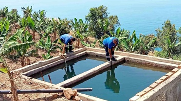Antalya'da vektörel mücadele kültürel, fiziksel, biyolojik ve kimyasal olarak gerçekleştiriliyor