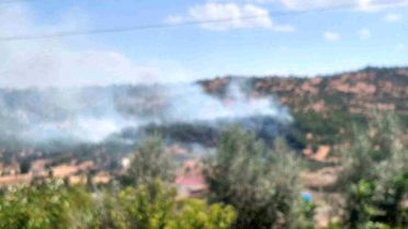 Diyarbakır'da Kırsalda Örtü Yangını