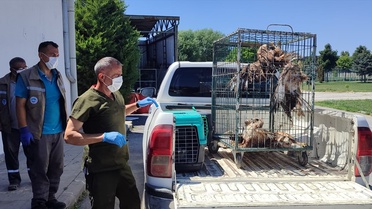 Kayseri'de 35 Yaban Kuşu Doğaya Salındı