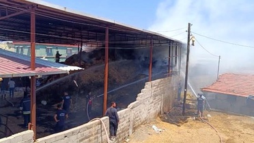 Hatay'da Yangın: 3 Buzağı Telef Oldu