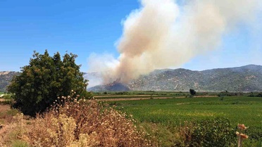 Söke'de zirai alanda yangın