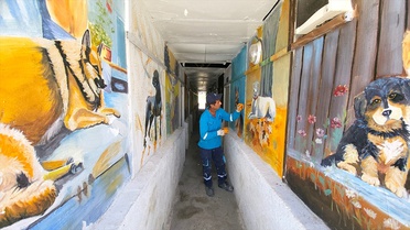 Temizlik İşçisi Sanatçı