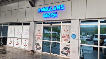 Alerjik Kadında Fındık Bahçesinde Arı Soku!