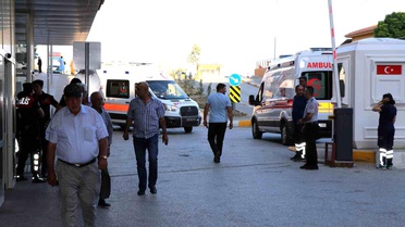 Arı Sokmaları Ölüme Yol Açabilir