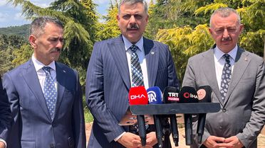 Bakan Çiftçi: Sokak hayvanlarının yüzde 92,35'i barınaklarda