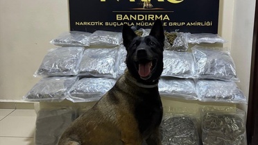Bandırma'da Uyuşturucu Operasyonu: 11 Kilo Skunk Ele Geçirildi