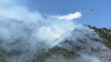 İzmir Narlıdere'de Orman Yangını