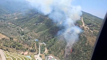 Narlıdere'de Orman Yangınına Müdahale Devam Ediyor