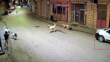 Çocuk Scooter ile Saldırıya Uğradı