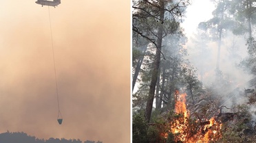 Antalya'da ormanlık alanda çıkan yangına müdahale ediliyor