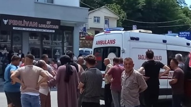 Ereğli'de Eşek Arısı Sokması Can Aldı
