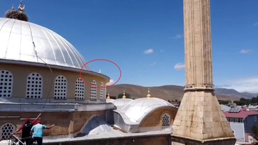 Bayburt'ta yuvasına dönemeyen yavru leylek ekipleri harekete geçirdi
