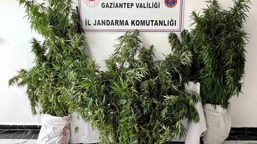 Gaziantep'te Kenevir Operasyonu