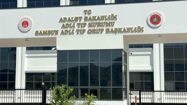 Ihlamur Toplamak İçin Çıktığı Ağaçtan Düştü