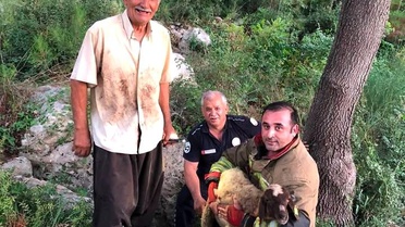 Dereye Düşen Koyun Kurtarıldı