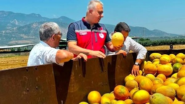 Kırıkhan Kavunu İncelemesi Yapıldı