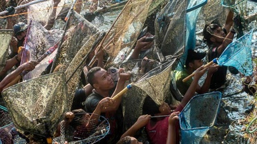 Memet Ikan Festivali Klaten'de Yapıldı