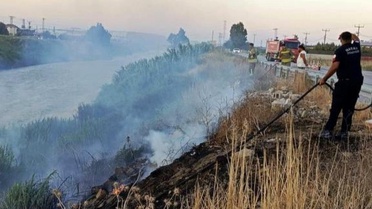 Asi Nehri'nde Sazlık Yangını Kontrol Altına Alındı