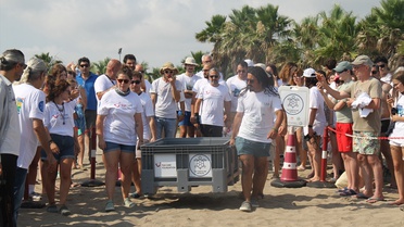 Caretta Carettalar Denize Bırakıldı