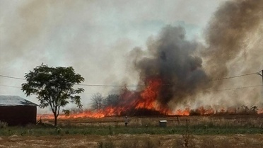 Pınarhisar'da Anız Yangını Söndürüldü