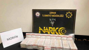 Şırnak'ta Kaçakçılık Operasyonu: 46 Gözaltı
