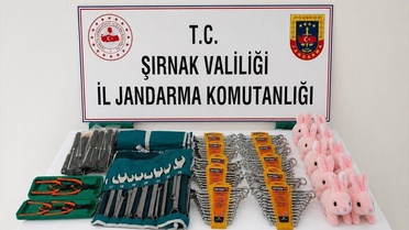 Şırnak'ta Kaçakçılık Operasyonu: 51 Gözaltı