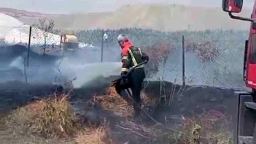 Bingöl'de Bahçe Yangını Kontrol Altına Alındı