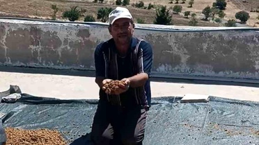 Diyarbakır'da Bereketli Dut Sezonu