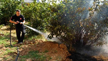 Düzce İtfaiyesi 3 ayda 300 anız yangınına müdahale etti