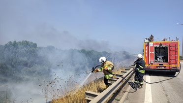 Erzin'de Otluk Alanda Yangın Söndürüldü