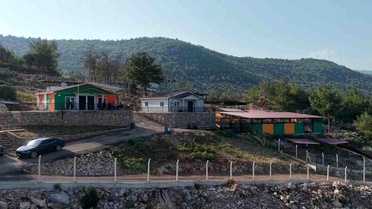 Kozan'da hedef sıfır sahipsiz sokak hayvanı