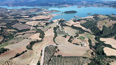 Gördes Barajı'na Bal Ormanı: İzmir-Manisa İş Birliği