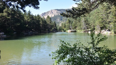 Serin Hava ile Limni Gölü Tabiat Parkı'na Akın