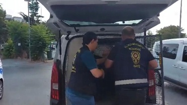 Küçükçekmece'de hamile eşine tatlı almaya çıkan adama bıçaklı saldırı