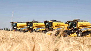Hububat hasadından Muş ekonomisine 11 milyar liralık katkı bekleniyor