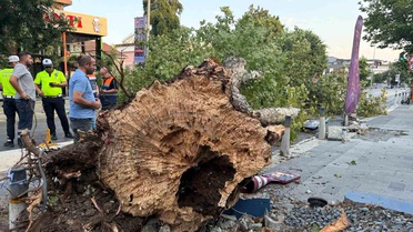 İstanbul'da kısa süreli etkili olan fırtına hasara yol açtı