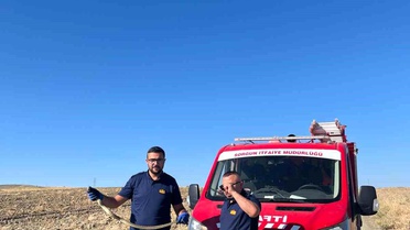 Kaymakamlık bahçesinde bulunan yılan doğaya bırakıldı