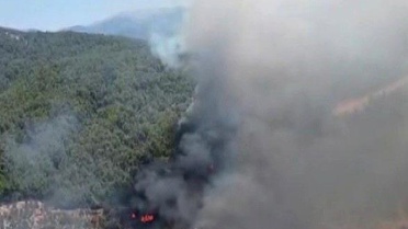 Aydın'da Orman Yangınına Müdahale Ediliyor