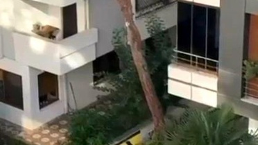 Maltepe'de Kadına Şiddet Tepkisi