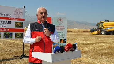 Muş'ta 2026 sezonunun ilk hububat hasadı yapıldı