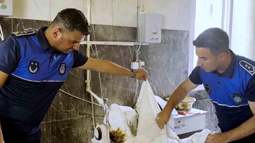 Tarsus'ta fırın denetimlerinde haşereli hamur tespit edildi