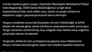 Lice'deki Yangın Kontrol Altında