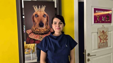 Sıcak Havalarda Evcil Hayvanlara Dikkat!