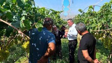 Kaymakam Dalak'tan Üzüm Üreticilerine Ziyaret