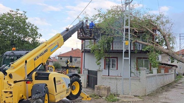 Samsun'da Şiddetli Yağmur ve Dolu Tarımda Hasara Yol Açtı