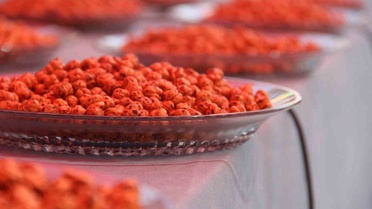 Uluslararası hitit fuar ve festivali’nde çorum’un en iyi leblebileri yarıştı