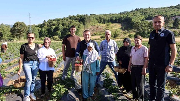 Vali Sözer Huzurevi Sakinleriyle Çilek Hasadı Yaptı