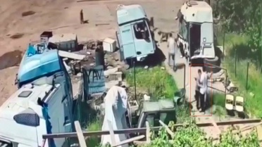 Silopi'de Çocuğa Köpek Saldırısı